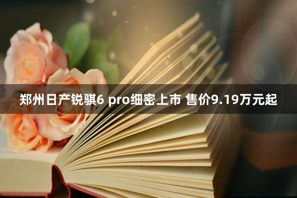 郑州日产锐骐6 pro细密上市 售价9.19万元起