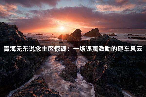 青海无东说念主区惊魂：一场诬蔑激励的砸车风云