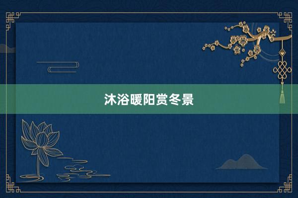 沐浴暖阳赏冬景