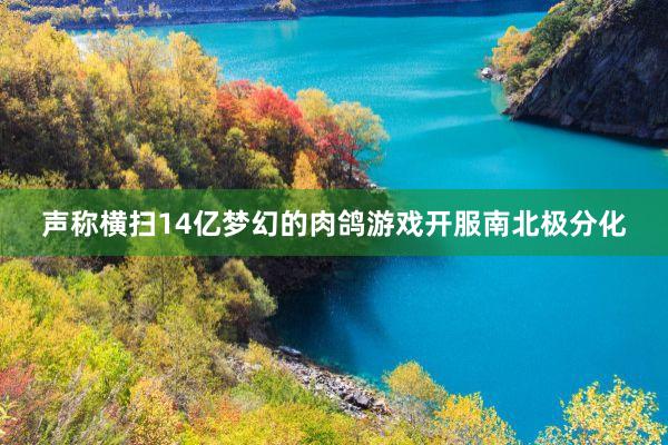 声称横扫14亿梦幻的肉鸽游戏开服南北极分化