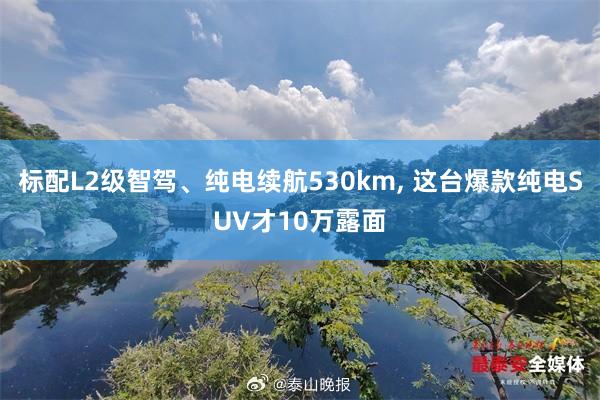 标配L2级智驾、纯电续航530km, 这台爆款纯电SUV才10万露面