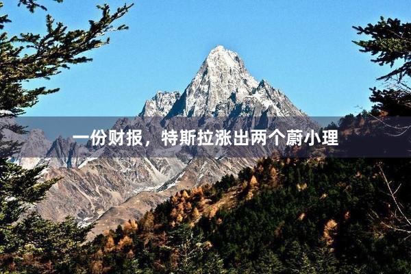 一份财报，特斯拉涨出两个蔚小理